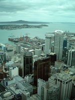 Auckland Rene A016