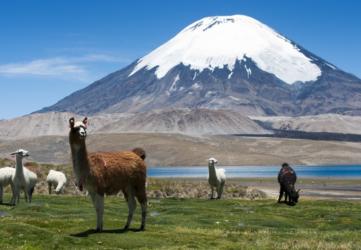 North Chile And Atacama